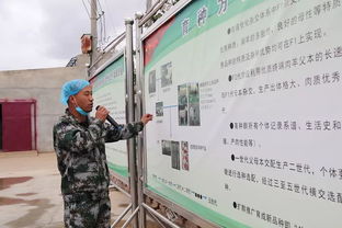 科技賦能，服務(wù)引領(lǐng) 技術(shù)推廣在脫貧攻堅與農(nóng)民增收中的核心作用