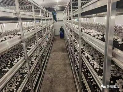 從技術(shù)到品牌 以XX科技推廣服務(wù)為例看技術(shù)推廣如何賦能品牌成長