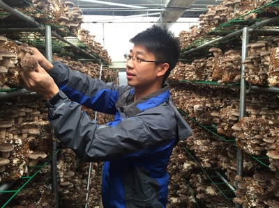 產(chǎn)業(yè)服務(wù)與技術(shù)推廣服務(wù) 驅(qū)動現(xiàn)代產(chǎn)業(yè)升級的雙引擎